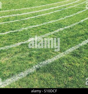 Weiße Linien auf einer Wiese Sport Stockfoto