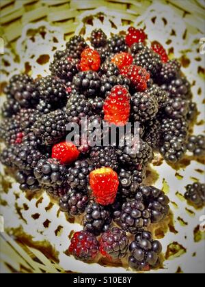Nahaufnahme von frisch gepflückten wilde Brombeeren in einem Korb Stockfoto