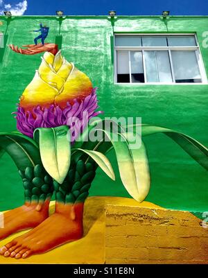 Kunst Wände in Wynwood Kunstviertel Miami Stockfoto