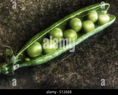 PEA pod Stockfoto