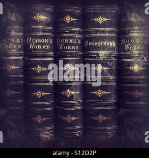 Antiquarische Bücher in einem Regal, darunter Werke von Shakespeare, Milton und Robert Burns. Stockfoto