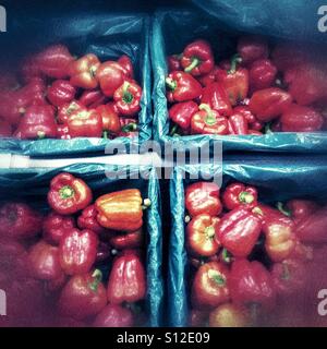 Rote Paprika in einem Supermarkt. Stockfoto