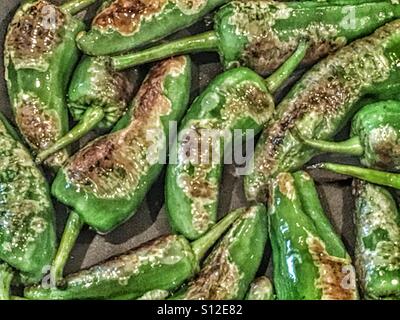 Padron Paprika, eine galizische Spezialität. Gebraten in Olivenöl. Stockfoto