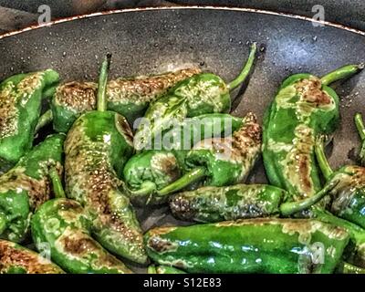 Pimientos de Padron, in Olivenöl braten.  Galicien, Spanien Stockfoto