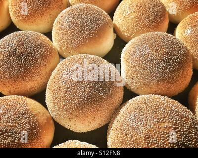 Frisch gebackene weiße Brötchen. Stockfoto