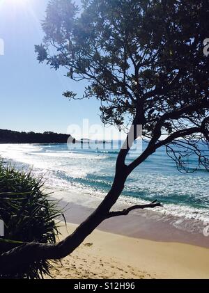 Erholung Reserve, Coffs Harbour, New South Wales Stockfoto