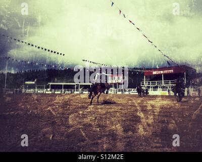 Ein Cowboy konkurriert auf der Rennstrecke pro rodeo Stockfoto