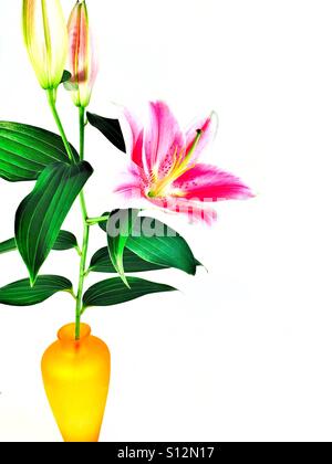 Rosa Lilly in Orange vase Stockfoto