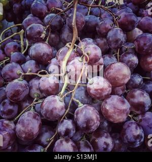 Trauben Stockfoto