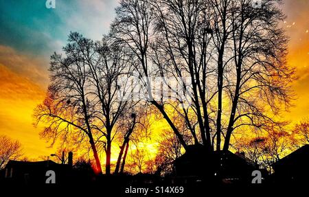 Der Himmel sah aus wie es in Brand. Stockfoto