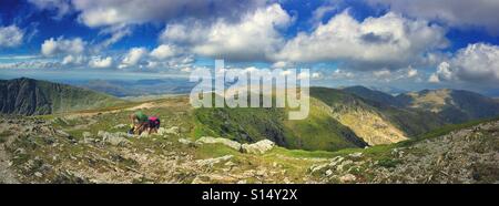 Oben auf der "alte Mann des Coniston" im Lake District, Cumbria Stockfoto