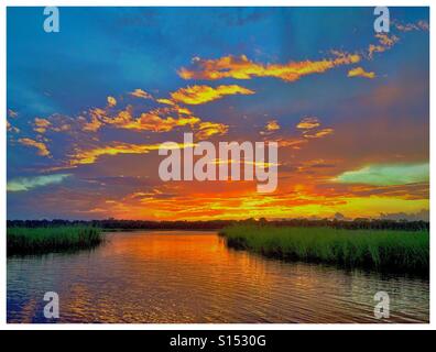 Guana Fluss FL Stockfoto