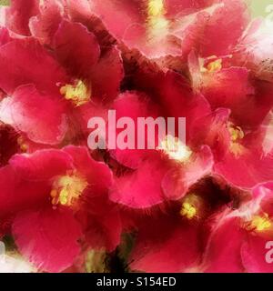 Rosa Blüten mit einem malerischen Effekt Stockfoto