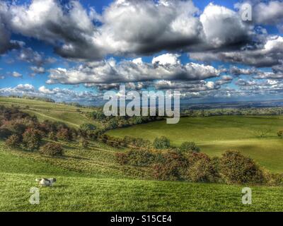 Herbstliche Landschaft an der Berkshire Wiltshire Grenze mit Blick auf die Kennet-Tal an einem schönen Tag mit schönem Wetter Wolken Stockfoto