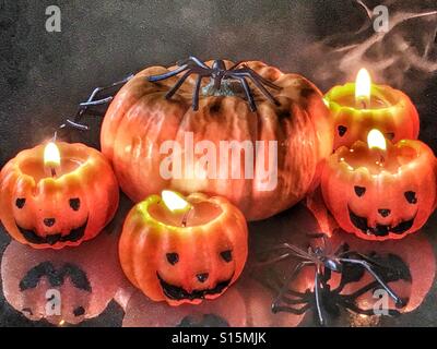 Halloween. Kürbisse, Kerzen, gruselige schwarze Spinnen Stockfoto