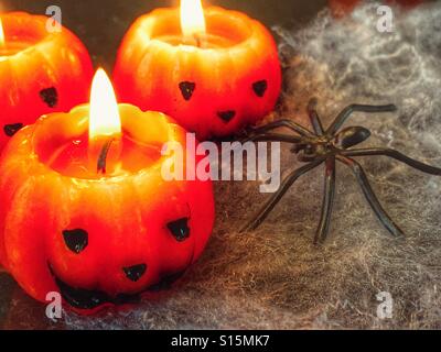 Halloween. Zerknitterte Kerzen und gruselige schwarze Spinne Stockfoto