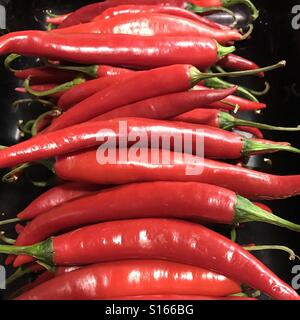 Red hot Chili Stockfoto