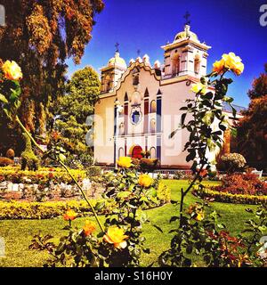 Santa María del Tule in Oaxaca, Mexiko befindet sich eine berühmte Tule-Baum auf dem Gelände dieser schönen Barock-Kirche, El Templo de Santa María De La Asunción. Stockfoto