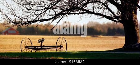 Weinlese im Herbst Stockfoto