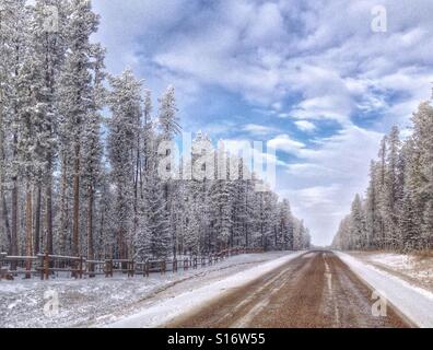 Kiesweg durch Schnee und Frost bedeckt Wald. Süd-Alberta, Kanada. Stockfoto