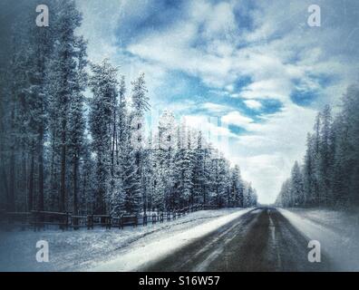 Kiesweg durch Schnee und Frost bedeckt Wald. Süd-Alberta, Kanada. Stockfoto