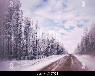 Kiesweg durch Schnee und Frost bedeckt Wald. Süd-Alberta, Kanada. Stockfoto