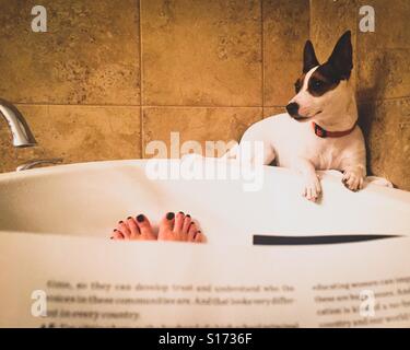 Entspannen Sie sich auf den Rand einer Badewanne während ihrer menschlichen kleiner Hund ist ein Bad nehmen. Stockfoto