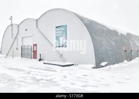 Der Eisbär Holding Facility, aka Bär Gefängnis in Churchill, Kanada. Stockfoto