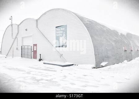 Der Eisbär Holding Facility, aka Bär Gefängnis in Churchill, Kanada. Stockfoto