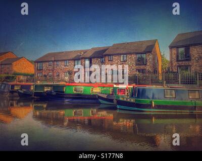 Narrowboats auf dem Bridgewater Kanal in Lymm, Cheshire, UK Stockfoto