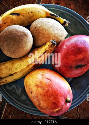 Eine Platte ist mit tropischen Früchten wie Mango, Banane und Mamey gefüllt. Stockfoto
