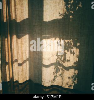 Dunkel und launisch Schatten auf einer Reihe von Gardinen Stockfoto