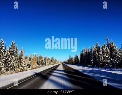 Winter Zeit Fahrbahn am späten Nachmittag mit Baum Schatten fallen auf der anderen Straßenseite Stockfoto