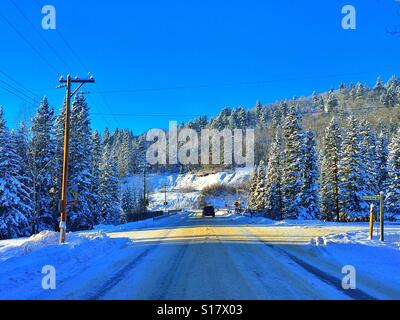 Winter Zeit Fahrbahn am späten Nachmittag mit Baum Schatten fallen auf der anderen Straßenseite und Schnee beladene evergreens Stockfoto