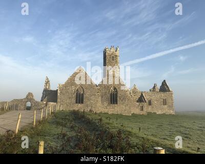 Ross Errilly Friary Stockfoto