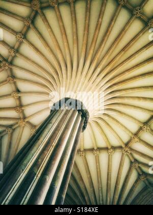 Schöne Säulen in der Marienkapelle, Kathedrale von Wells, Somerset Stockfoto