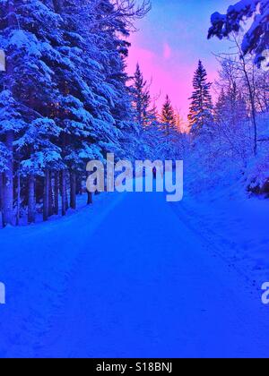 Winterlandschaft wandern Stockfoto