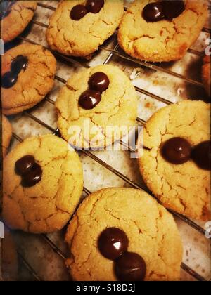 Peanut Butter chocolate Chip cookies Stockfoto