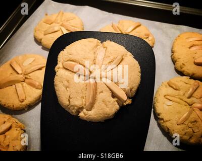 Gluten freie Almond Cookie mit Mandel-Mehl gemacht Stockfoto
