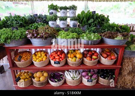 Bio-Gemüse zum Verkauf an Flora Farm, San Jose del Cabo, Mexiko. Stockfoto