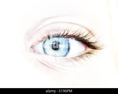 Blaues Auge. Stockfoto