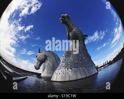Die Kelpies, 30 Meter hohe Pferdkopf Skulpturen, gelegen in Schottland Stockfoto