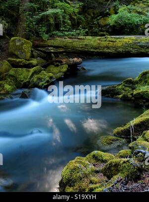 Weich fließende Clearwater Creek im Douglas County im Süden Oregons läuft unter einem Maschinenbordbuch und felsigen Ufer alle an einem Sommertag in Moos bedeckt. Stockfoto