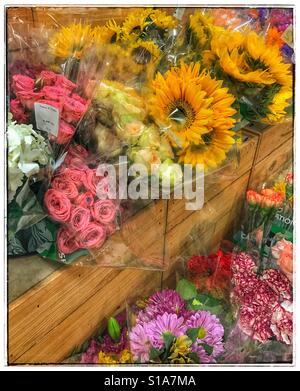 Frische Schnittblumen für den Verkauf im Lebensmittelhandel Stockfoto