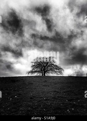 Schwarz / weiß Foto ein einsamer Baum am Horizont eines Hügels bei bewölktem Himmel dunkel und dramatisch. Stockfoto