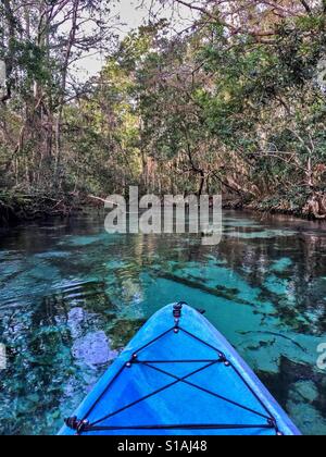 Kajakfahren auf der Weeki Wachee Springs Stockfoto