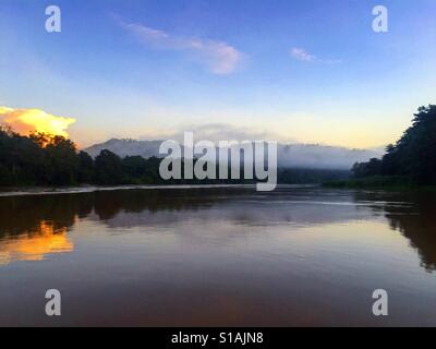 Sunrise-Bootstour am Kinabatangan Fluss, Borneo Stockfoto