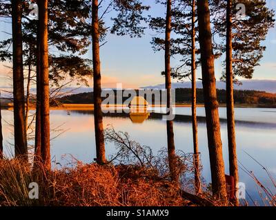 Goldene Stunden bei Kielder Water and Forest, Northumberland Park, England Stockfoto