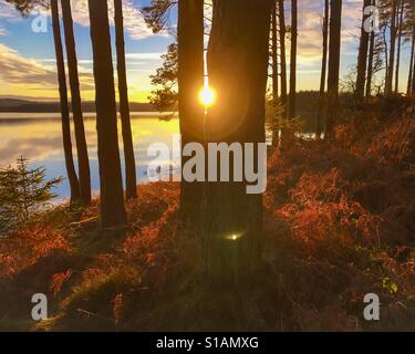 Sonnenuntergang am Kielder Wasser und Wald, Northumberland Park, England Stockfoto