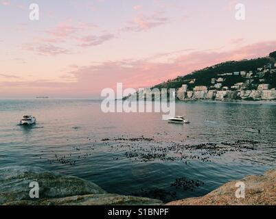 Clifton vierte, Kapstadt Stockfoto